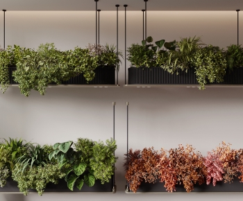 Modern Potted Green Plant-ID:853763105