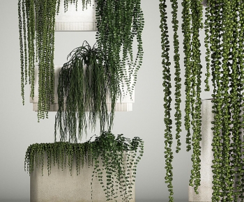 Modern Potted Green Plant-ID:805552967