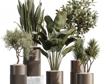 Modern Ground Green Plant Potted Plants-ID:581892976