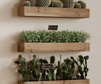 Modern Flower Bed, Flower Bowl, Flower Box-ID:508496053