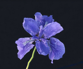 Modern Flowers-ID:733850098