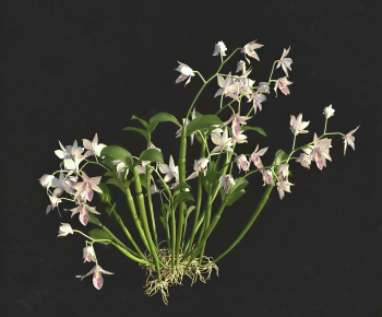 Modern The Grass-ID:627326977