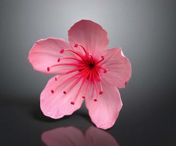 Modern Flowers And Grass-ID:645500907