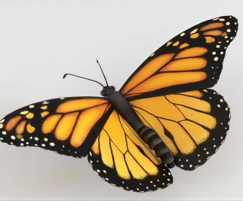Modern Animal-ID:117762098