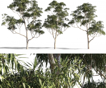 Modern Bamboo-ID:358250171