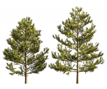 Modern Tree-ID:913614999