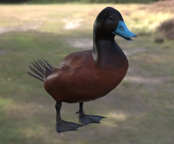 Modern Poultry Animal-ID:348949913