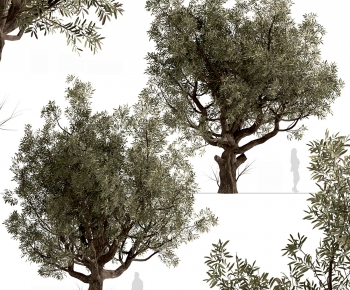 Modern Tree-ID:953296903