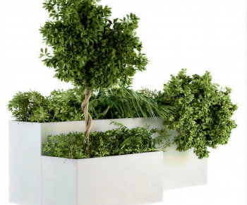 Modern Shrubbery-ID:946393018