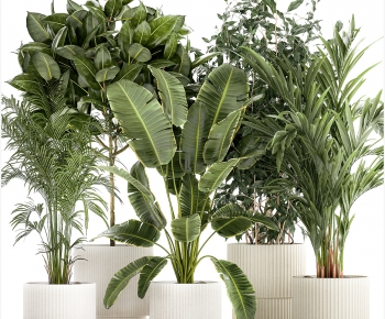Modern Potted Green Plant-ID:122601034