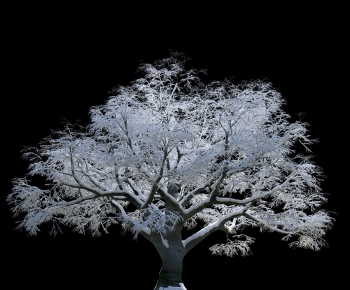 Modern Tree-ID:233536019