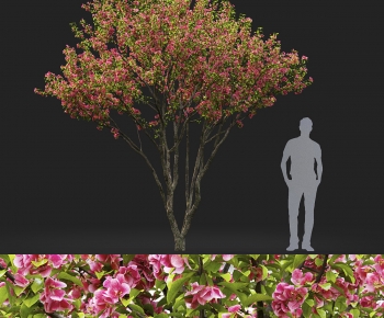 Modern Tree-ID:435559715
