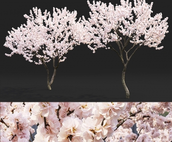Modern Tree-ID:105931041