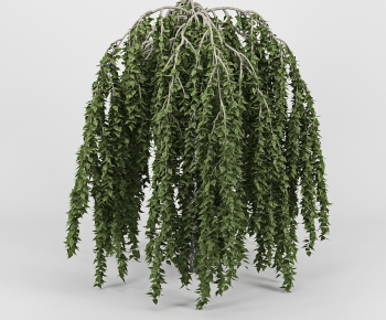 Modern Tree-ID:388560062