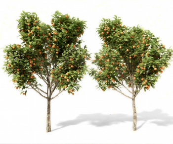 Modern Tree-ID:881829322