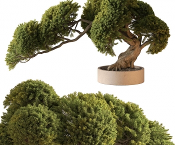 New Chinese Style Bonsai-ID:871809011