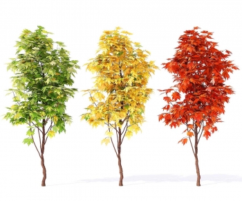 Modern Tree-ID:764776955