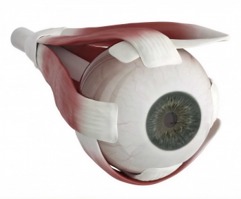 Modern Medical Equipment-ID:598222971
