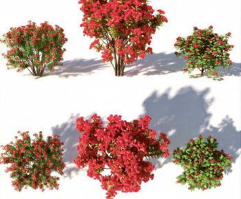 Modern Shrubbery-ID:505656006