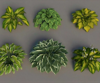 Modern The Grass-ID:615827085