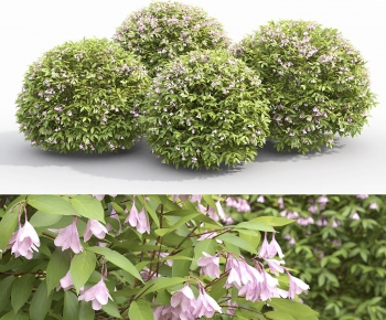 Modern Shrubbery-ID:616446971