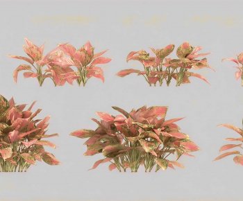 Modern Flowers And Grass-ID:859178072