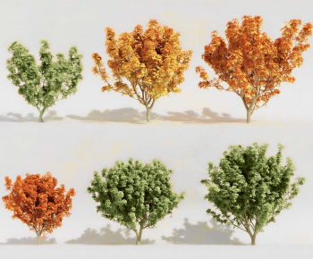 Modern Tree-ID:126157055