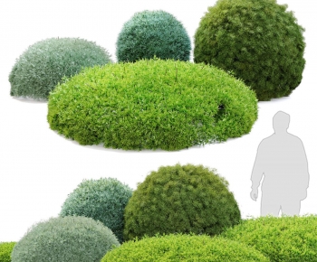 Modern Shrubbery-ID:768013002