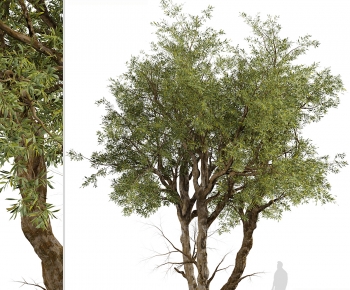 Modern Tree-ID:188230045