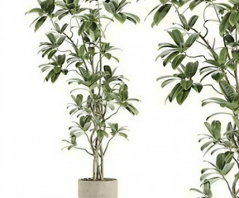 Modern Ground Green Plant Potted Plants-ID:303092961