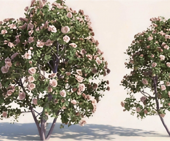 Modern Tree-ID:425798942