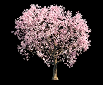 Modern Tree-ID:238223085
