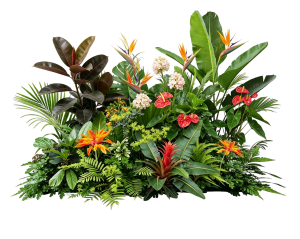 ModernPlant Leaves