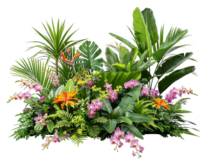 ModernPlant Leaves