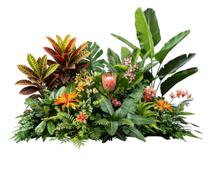 ModernPlant Leaves