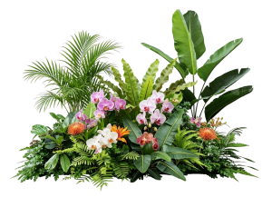 ModernPlant Leaves