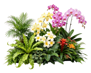 ModernPlant Leaves