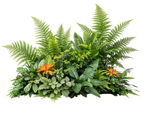 ModernPlant Leaves
