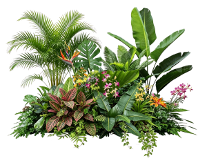 ModernPlant Leaves