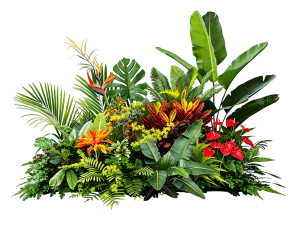 ModernPlant Leaves