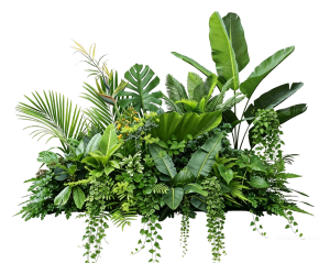 ModernPlant Leaves