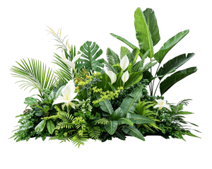 ModernPlant Leaves