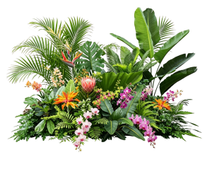 ModernPlant Leaves