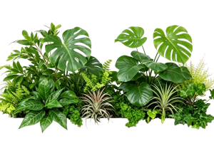 ModernPlant Leaves