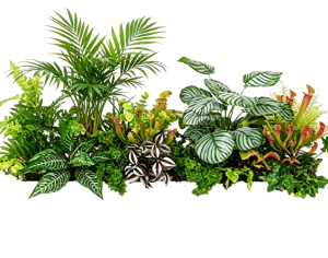 ModernPlant Leaves