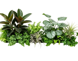 ModernPlant Leaves