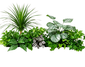 ModernPlant Leaves