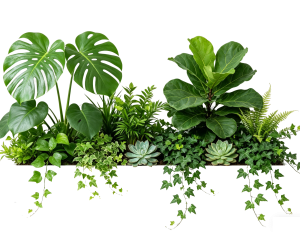 ModernPlant Leaves