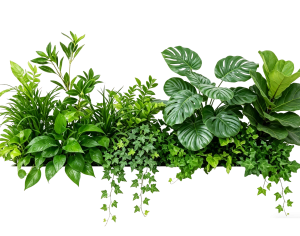 ModernPlant Leaves