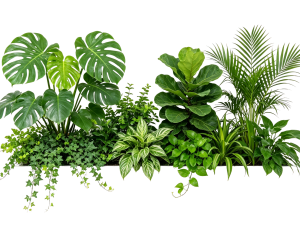 ModernPlant Leaves